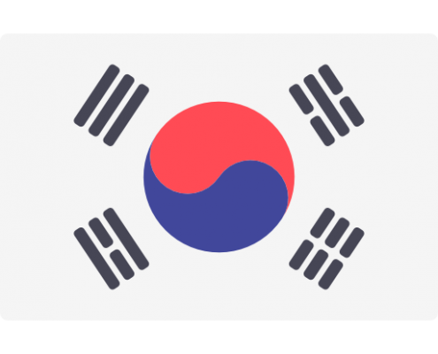 韩国驾照翻译