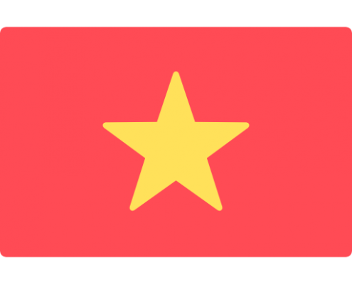 越南语驾照翻译